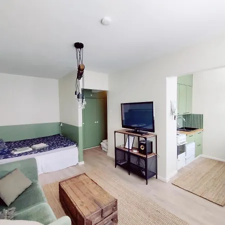 Appartement Viihtyisae Yksioe Keskustan Sykkeessae *